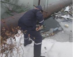 В реке Пензе жители Терновки обнаружили труп